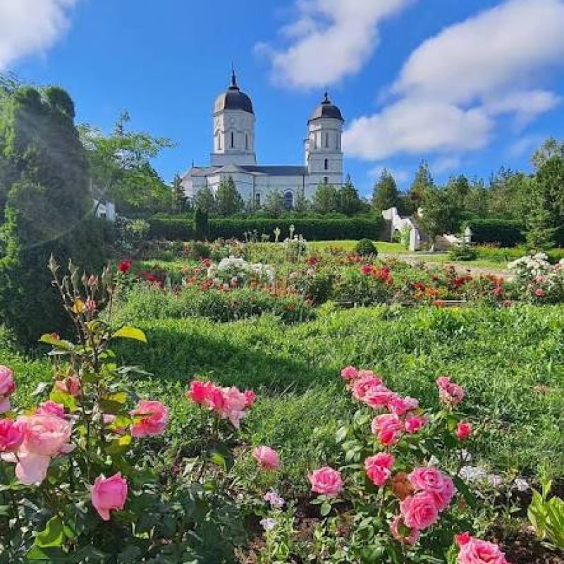 mănăstiri tulcea celic dere