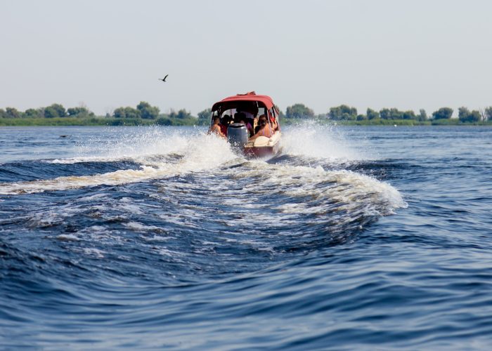excursii trip donau delta Danube Delta