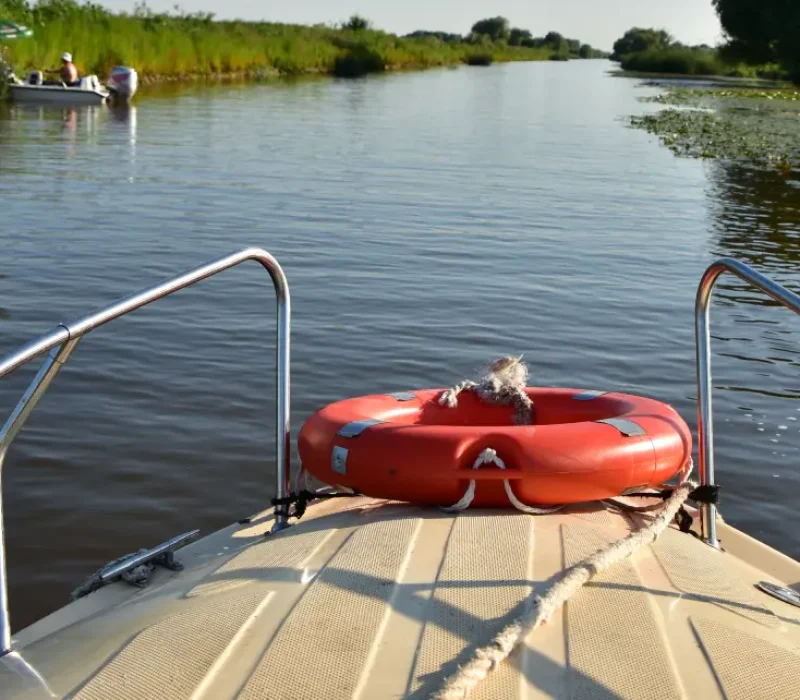 excursii-padurea-letea