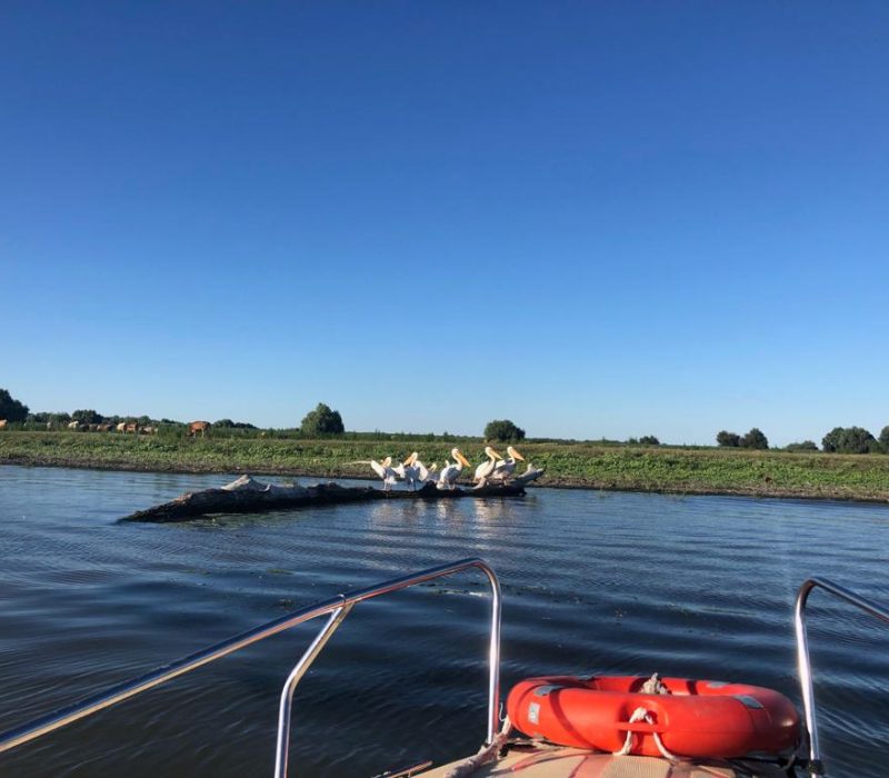 excursii-si-peisaje-delta-dunarii